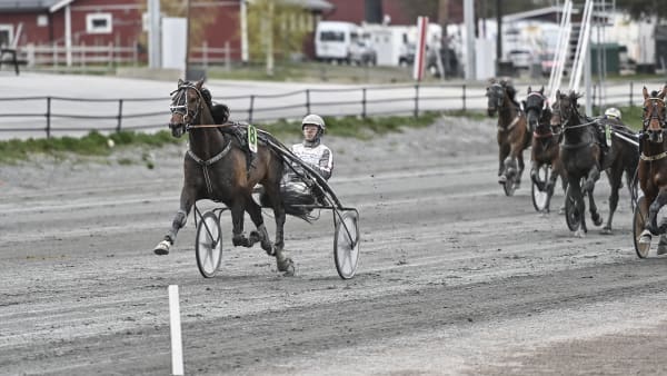 Foto: JENNY REHNMAN / TR BILD