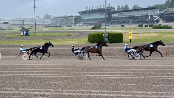Foto: MATTIAS HOLMGREN/TR BILD
