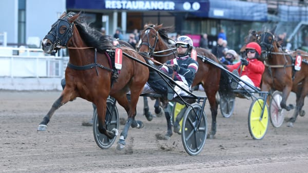 Foto: MARIA HOLMÉN / TR BILD