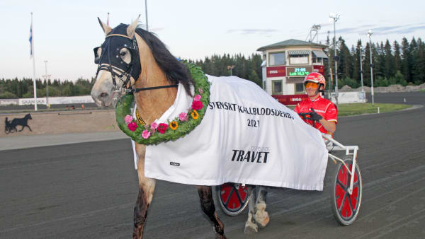 Foto: TOM JÖNEHAG/TR BILD