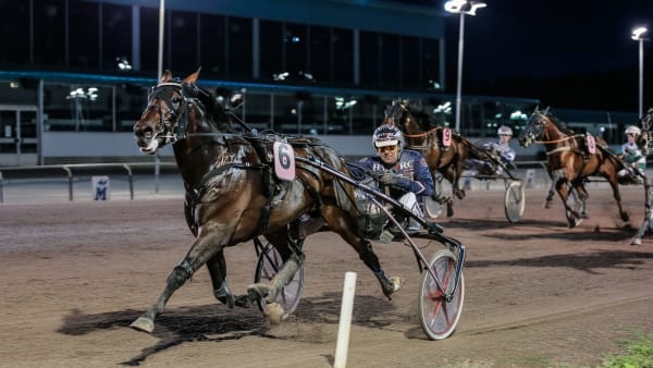 Foto: LENA EMMOTH / TR BILD