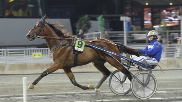 Foto: LARS JAKOBSSON / TR BILD