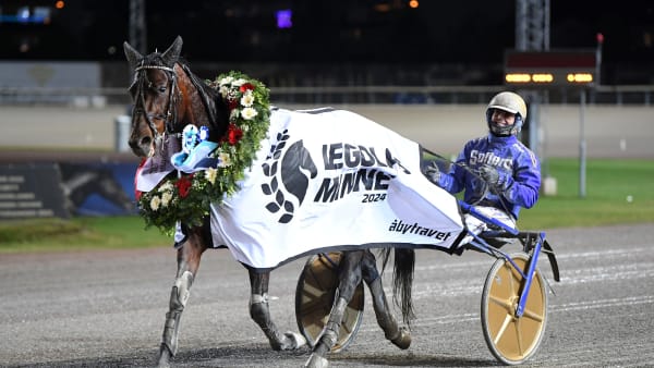 Foto: MALIN ALBINSSON / TR BILD