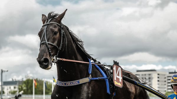 Foto: LENA EMMOTH / TR BILD