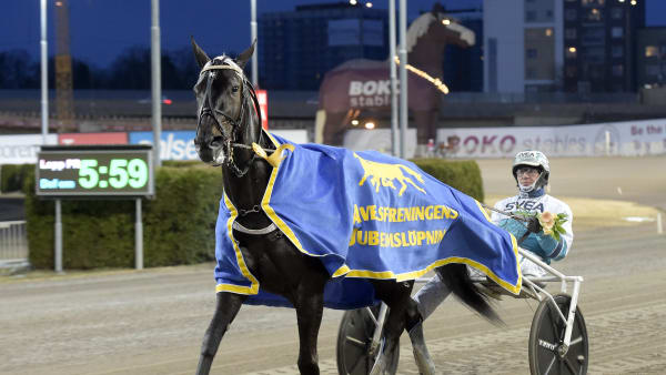 Foto: LARS JAKOBSSON / TR BILD