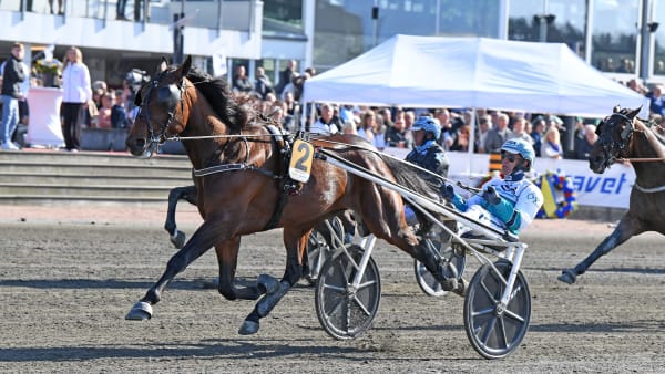 Foto: MALIN ALBINSSON / TR BILD