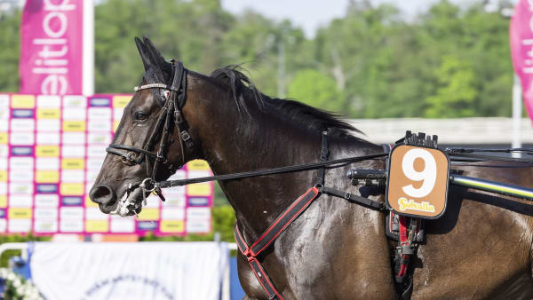 Foto: LENA EMMOTH / TR BILD