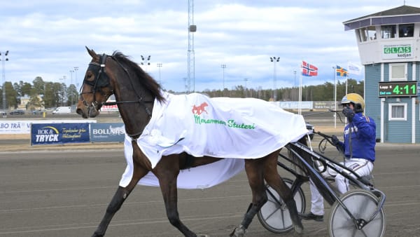 Foto: LARS JAKOBSSON / TR BILD
