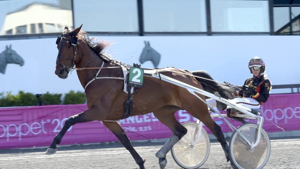 Foto: LARS JAKOBSSON / TR BILD