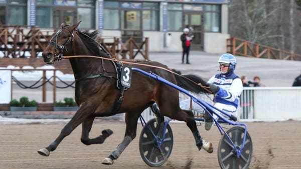 Foto: Suomen Hippos