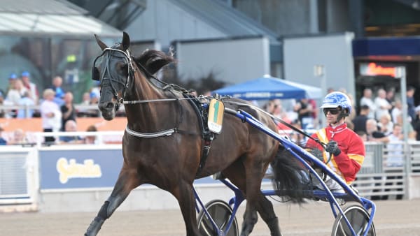 Foto: LARS JAKOBSSON / TR BILD