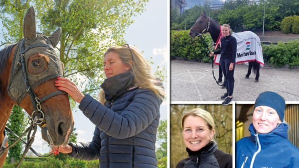 Foto: PRIVAT/CHRISTER NORIN/LARS JAKOBSSON/TR BILD/JEAN-LUC LAMAÈRE/LE TROT/MONTAGE