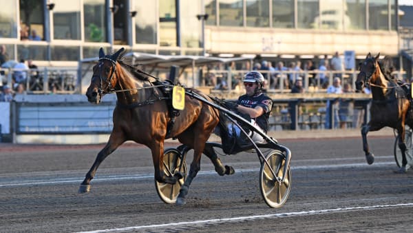 Foto: MALIN ALBINSSON / TR BILD