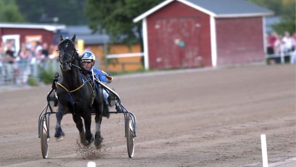 Foto: Petri Johansson/TR BILD