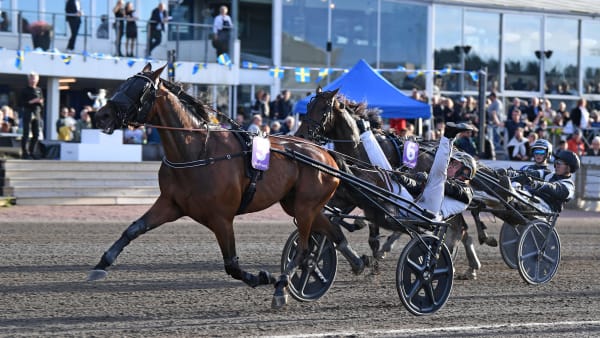 Foto: MALIN ALBINSSON / TR BILD