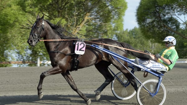 Foto: LARS JAKOBSSON / TR BILD