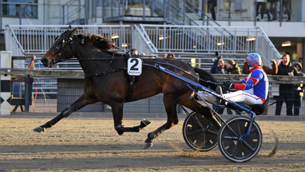 Foto: MALIN ALBINSSON / TR BILD