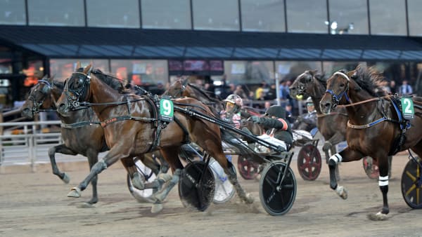 Foto: LARS JAKOBSSON / TR BILD