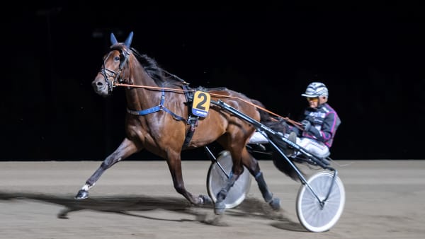 Foto: MIKAEL ROSENQUIST / TR BILD