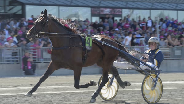 Foto: LARS JAKOBSSON/TR BILD