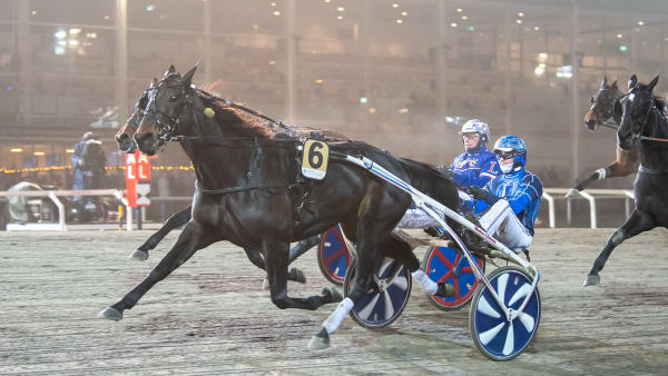 Foto: MIKAEL ROSENQUIST / TR BILD
