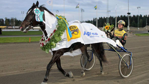 Foto: TOM JÖNEHAG