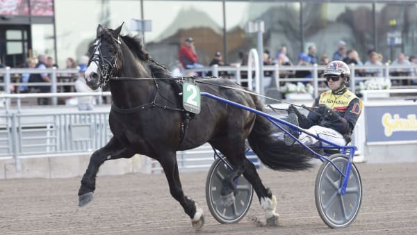 Foto: LARS JAKOBSSON / TR BILD