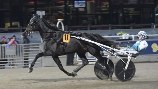 Foto: LARS JAKOBSSON / TR BILD