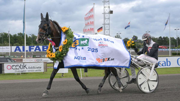 Foto: LARS JAKOBSSON / TR BILD