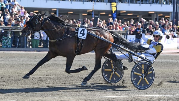 Foto: MALIN ALBINSSON / TR BILD