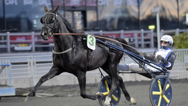 Foto: LARS JAKOBSSON / TR BILD