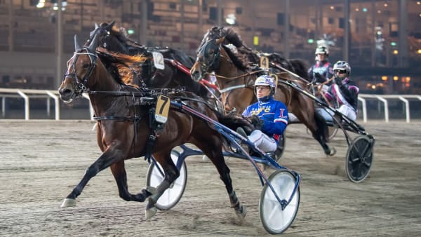 Foto: MIKAEL ROSENQUIST / TR BILD