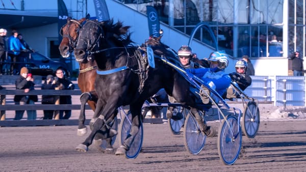 Foto: MIKAEL ROSENQUIST / TR BILD