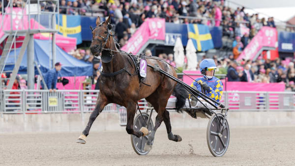 Foto: LENA EMMOTH / TR BILD