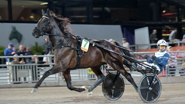 Foto: LARS JAKOBSSON / TR BILD