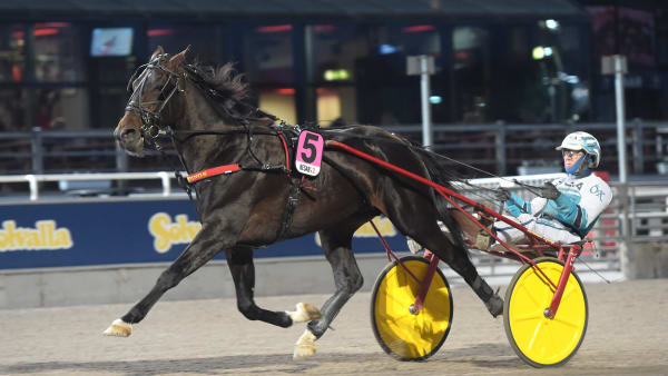 Foto: LARS JAKOBSSON / TR BILD