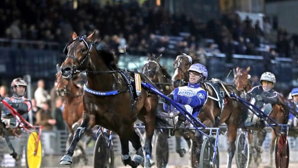 Foto: MARIA HOLMÉN / TR BILD