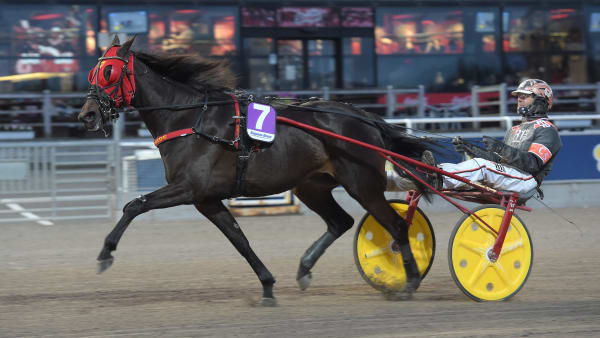 Foto: LARS JAKOBSSON / TR BILD