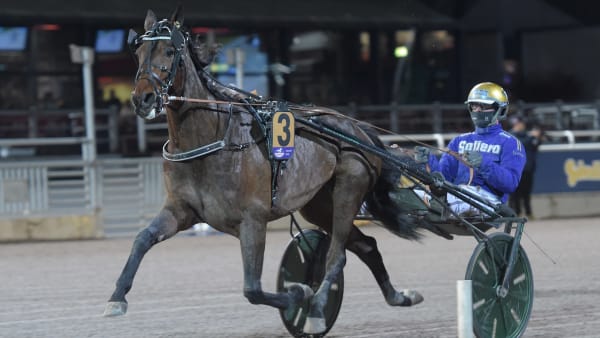 Foto: LARS JAKOBSSON / TR BILD