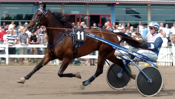 Foto: CLAES KÄRRSTRAND