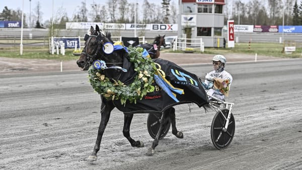 Foto: JENNY REHNMAN / TR BILD