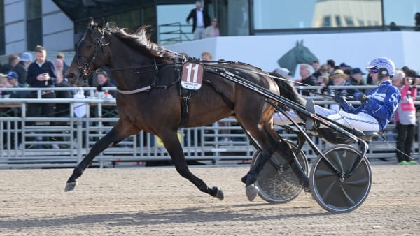 Foto: LARS JAKOBSSON / TR BILD