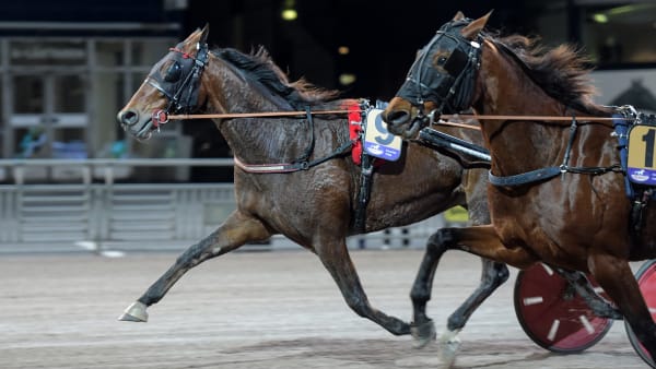 Foto: LARS JAKOBSSON / TR BILD