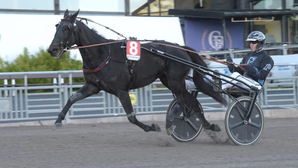 Foto: LARS JAKOBSSON / TR BILD