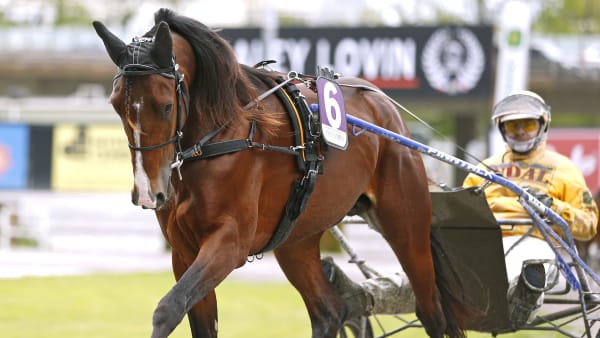 Foto: MARIA HOLMÉN / TR BILD