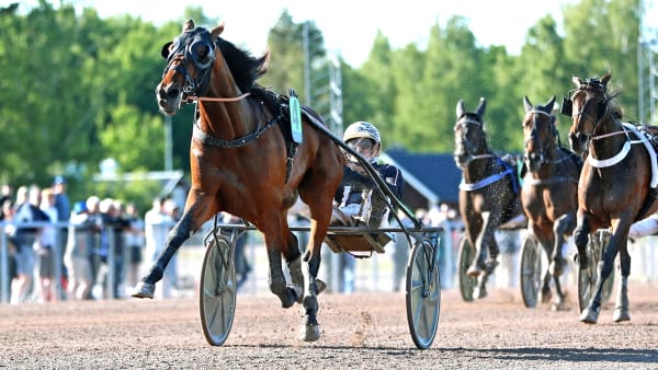 Foto: MARIA HOLMÉN / TR BILD