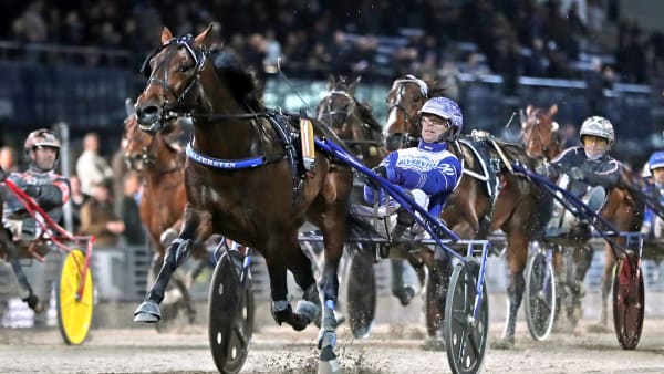 Foto: MARIA HOLMÉN / TR BILD
