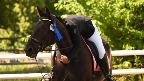 Foto: Kristin Andersson