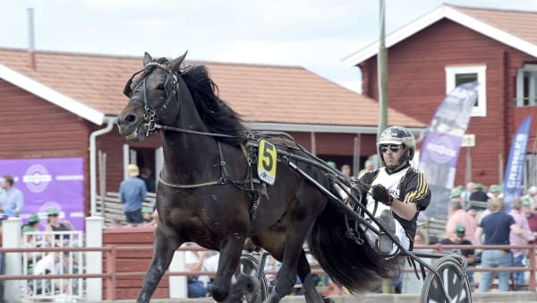 Foto: LARS JAKOBSSON / TR BILD