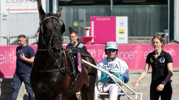 Foto: MATILDA ÖHRMAN / TR BILD